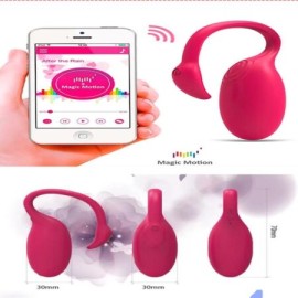 FLAMINGO RUBY chico